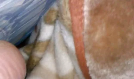 Nicole wird mit einem schwarzen Schwanz sexfilme gratis anschauen geteilt