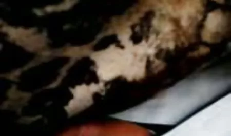 Bijou Maya geht zu Leuten, die ihr beim Ausziehen und sexfilme for free Ficken in der Öffentlichkeit zusehen